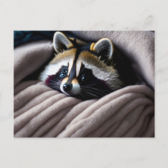 Carte Postale Cute Racoon niché dans une couverture souple (Devant)
