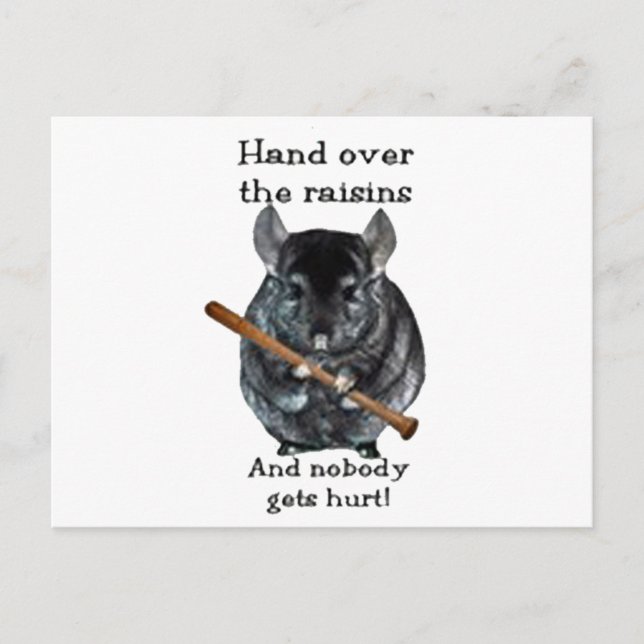 Carte Postale Cute Raisin Mean Chinchilla (Devant)