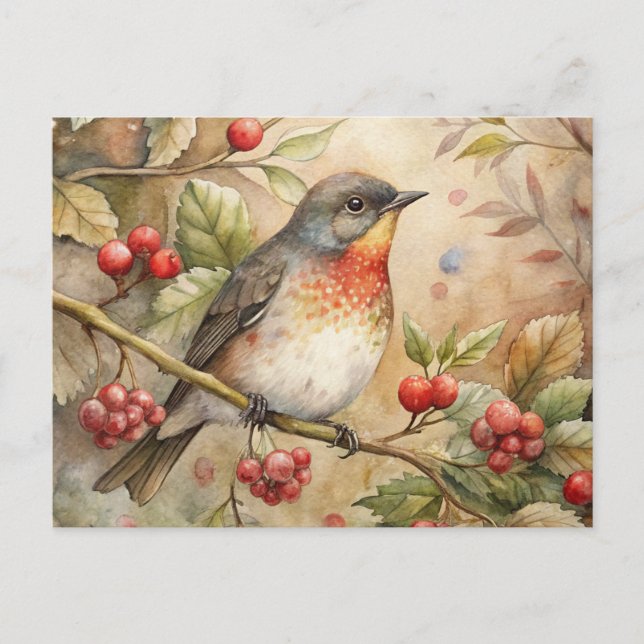 Carte Postale Cute Robin (Devant)