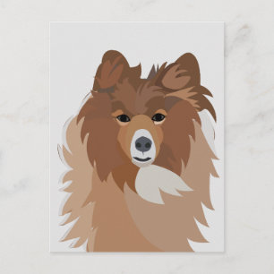 Carte Postale Cute Sheltie Dog Art