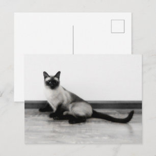 Carte Postale CUTE Siamese Portrait de chat