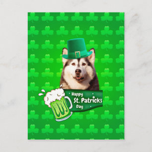 Carte Postale Cute Siberian Husky Chien Casquette St. Patrick's