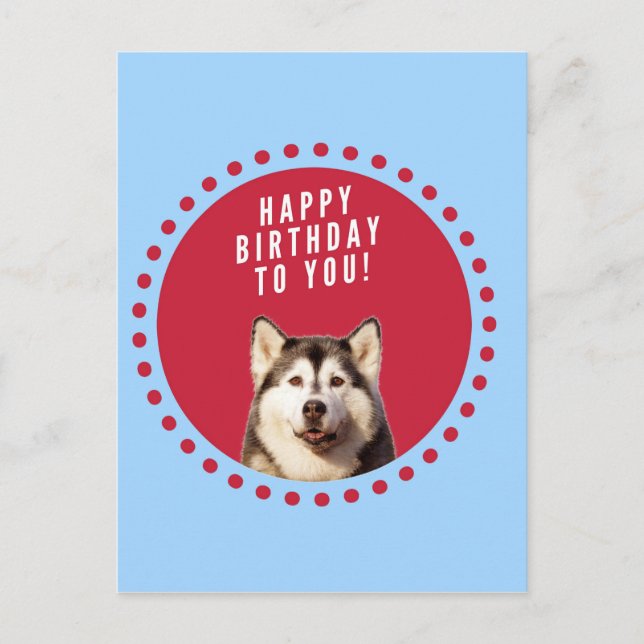 Carte Postale Cute Siberian Husky Joyeux Points rouges bleus d'a (Devant)
