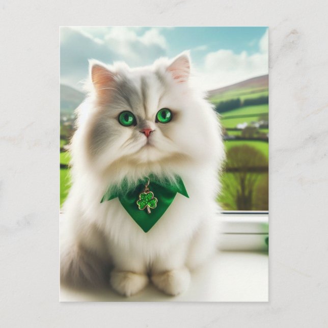 Carte Postale Cute St Patricks Day Chat Fluffy Blanc Chat (Devant)