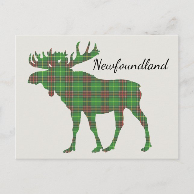Carte postale Cute Tartan moose Terre-Neuve (Devant)
