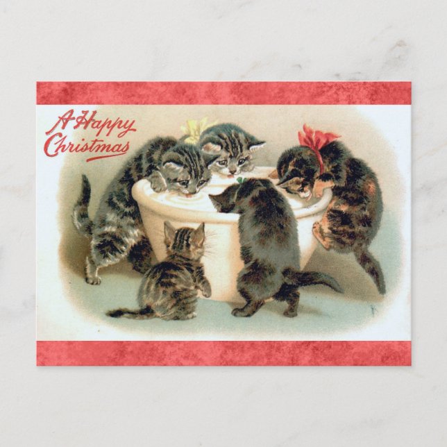 Carte Postale Cute vintage Noël Kitten Chat (Devant)