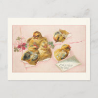 Cute Vintage Pâques poussins en paquet
