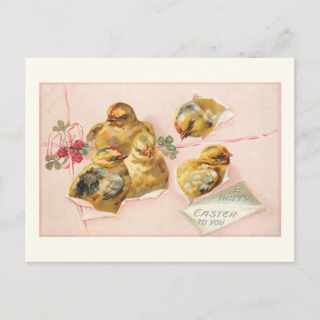 Carte Postale Cute Vintage Pâques poussins en paquet (Devant)