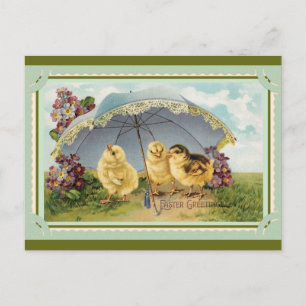 Carte Postale Cute Vintage Spring Chicks Salutations de Pâques