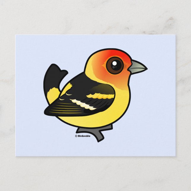 Carte Postale Cute Western Tanager (Devant)