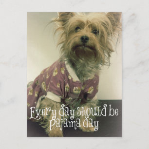 Carte Postale Cute Yorkshire Terrier en pyjama avec une citation