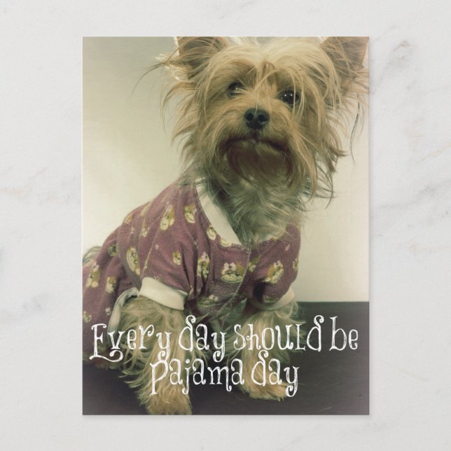 Carte Postale Cute Yorkshire Terrier en pyjama avec une citation (Devant)