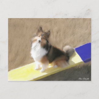 Carte Postale CuteShetland Sheepdog sitting on a teeter