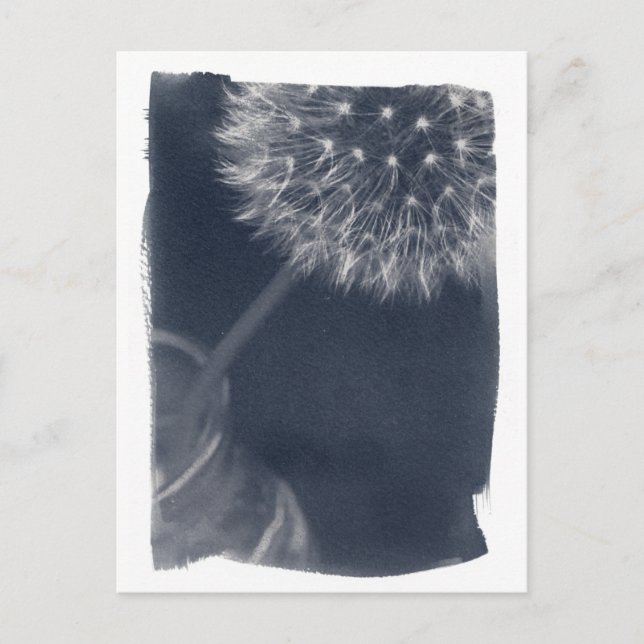 Carte Postale Cyanotype café Dandalion (Devant)