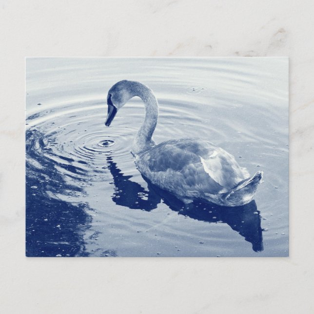 Carte Postale Cyanotype numérique (Devant)