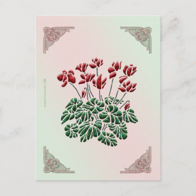 Carte postale Cyclamen (Devant)