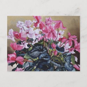 Carte Postale Cyclamen 2004
