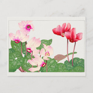Carte Postale Cyclamen par Tanigami Konan