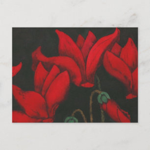 Carte Postale Cyclamen rouge fleur sur un arrière - plan noir fo
