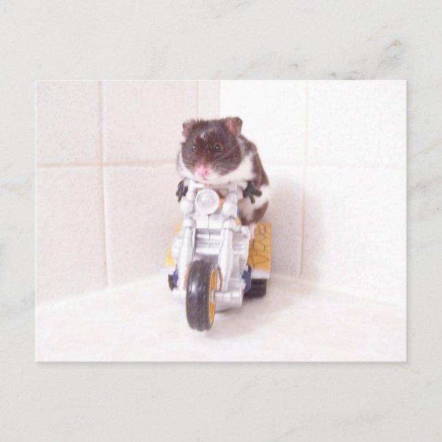 Carte Postale cycle jaune noah (Devant)