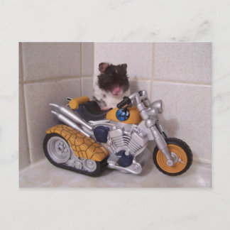 Carte Postale cycle noah