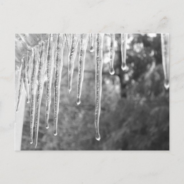 Carte Postale Cycles de glace (Devant)