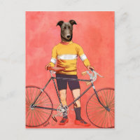 Cycliste Greyhound 2
