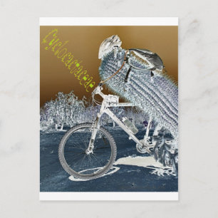 Carte Postale Cyclocactacées