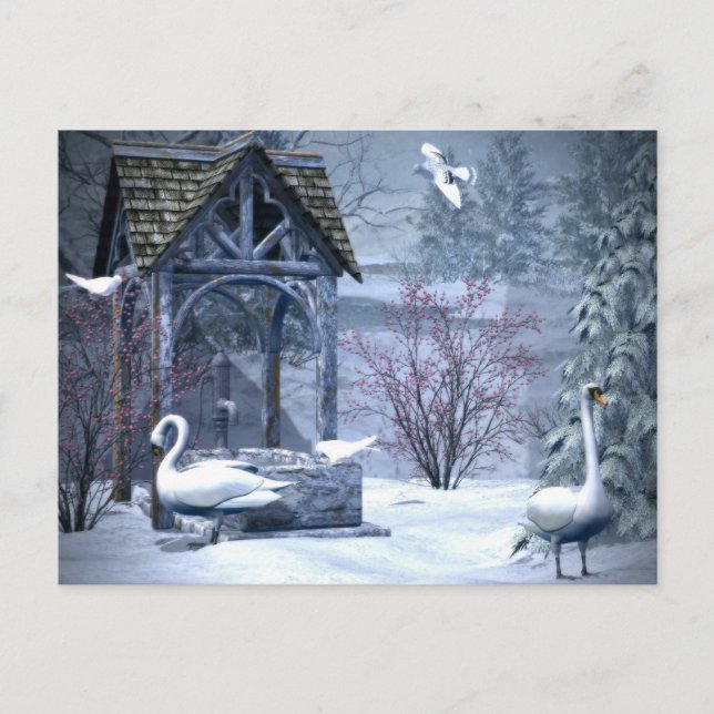 Carte Postale Cygne Blanc En Neige Noël Hiver (Devant)