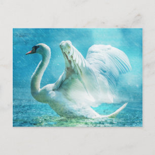 Carte Postale Cygne blanc en pluie