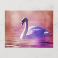Cygne blanc flottant sur un lac brumeux