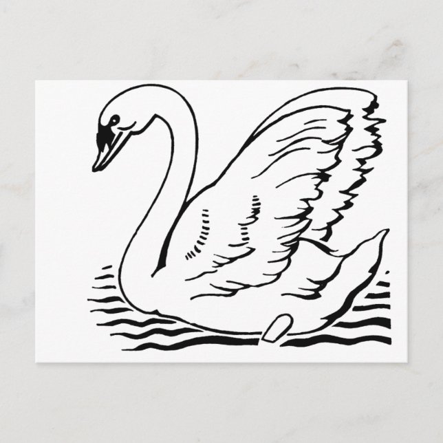 Carte Postale Cygne gracieux (Devant)
