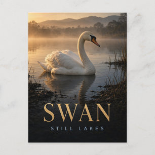 Carte Postale Cygne Lacs Calmes Faune ANIMAL