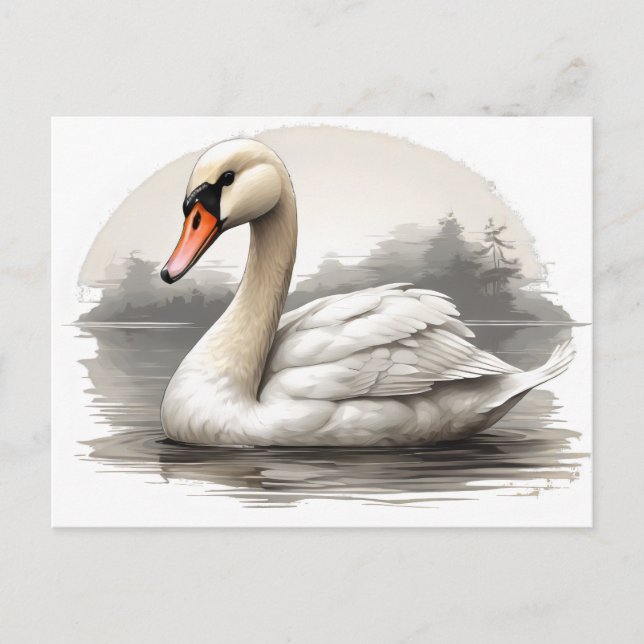 Carte Postale Cygne muet dans l'eau (Devant)