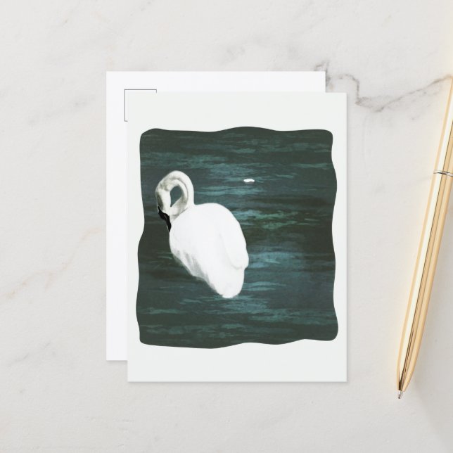Carte Postale Cygne sur l'étang (Devant/Arrière en situation)