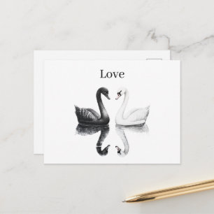 Carte Postale Cygnes oiseaux noir blanc reflet
