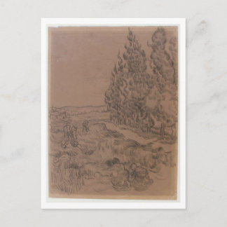 Carte Postale Cyprès Quatre Personnes Travailler, Van Gogh Fine
