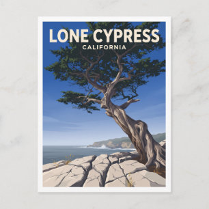 Carte Postale Cyprès solitaire de Pebble Beach Californie Cadeau