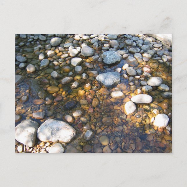 Carte Postale Cypress Hills, Alb. Canada (Devant)