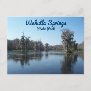 Carte Postale Cypress Trees au parc d'état de Wakulla Springs