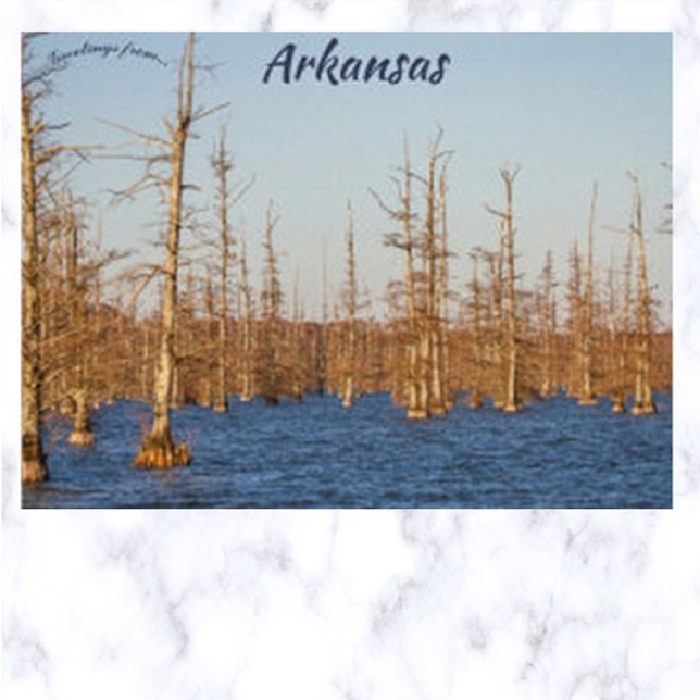 Carte Postale Cypress Trees dans Big Lake NWR Arkansas (Créateur téléchargé)