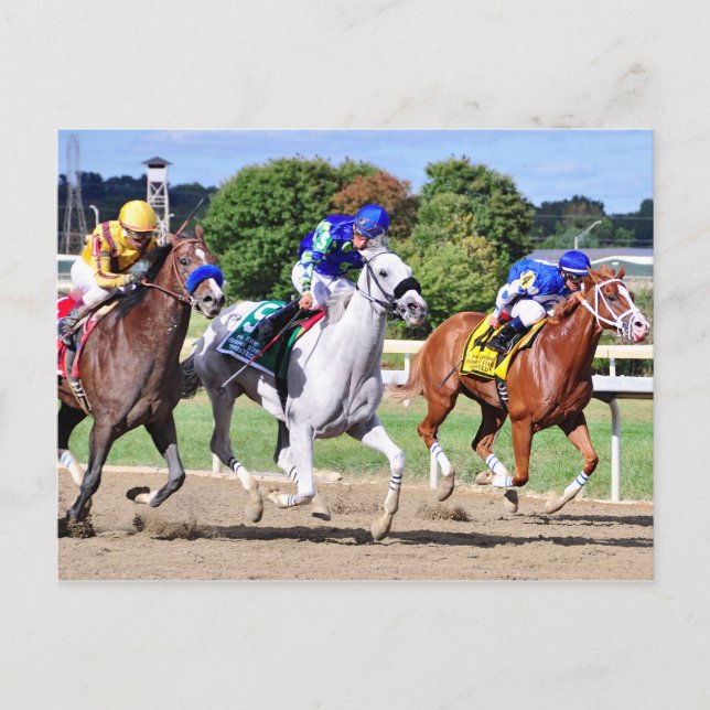Carte Postale Cyrus Alexander, Mr.Jordan & Res Judicata (Devant)