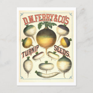 Carte Postale D. M. Ferry & Co. Publicité Vintage des semences d