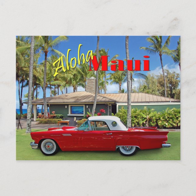 Carte Postale D.T.Fleming Beach Park (Devant)