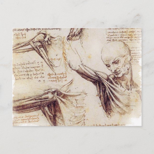 Carte Postale da Vinci -- Croquis d'épaule (Devant)