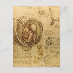 Carte Postale da Vinci - Croquis Embryo