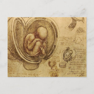 Carte Postale da Vinci - Croquis Embryo