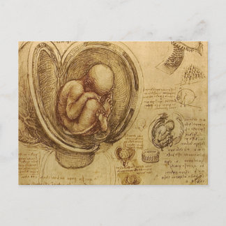 Carte Postale da Vinci - Croquis Embryo