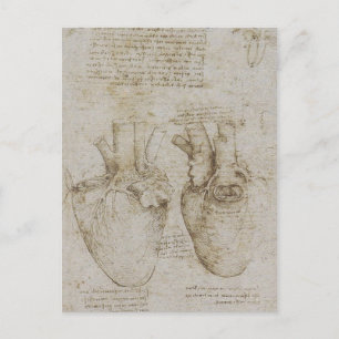 Carte Postale Da Vinci : des croquis d'anatomie du coeur humain