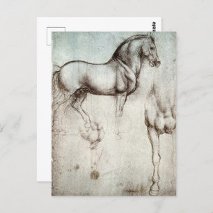 Carte Postale Da Vinci Étude d'un Cheval Renaissance Art